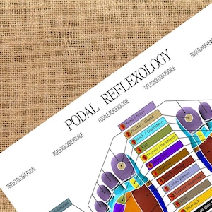 Podal reflexology, massage treatment, holistic therapy