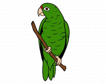 Puerto Rico Green Parrot Svg, Cotorra Puertorriqueña Svg, Puerto Rico Svg, Puerto Rico Clipart, Boricua, Cut File, Cricut Ready