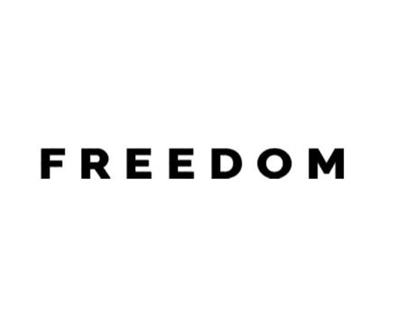 Freedom Script Font Svg Freedom SVG and PNG Files, Freedom Charlie Kirk - Etsy