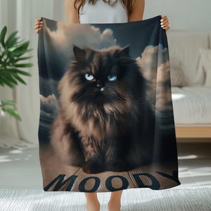 Moody Cat Blankets, Persian Cat Blanket, Cozy Pet Lover Throw, Unique Home Decor, Cat Art Blanket