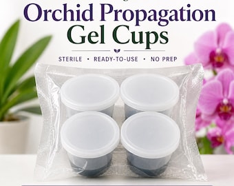 Orchid Tissue Culture Gel Cups — Pre-Sterilized & Ready to Use