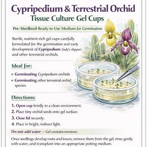 May include: A product information sheet for Forest Organics' Cypripedium & Terrestrial Orchid Tissue Culture Gel Cups. The image shows two clear gel cups with small plants, alongside illustrations of yellow and purple orchids. Text details germination instructions.