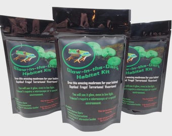 Glow-in-the-Dark Mushroom Kit – Bioluminescent Fungi Habitat, Log Inoculation Project