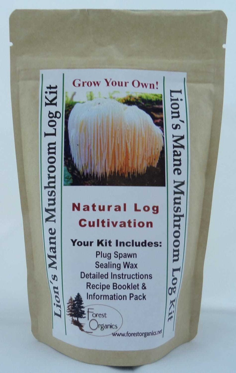 Lion's Mane Mushroom Growing Log Kit Grows for Years Etsy