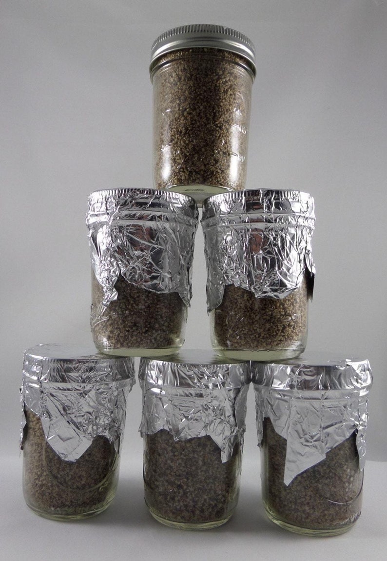 BRF Brown Rice Flour Mushroom Substrate Magic Cake Organic Sterilized