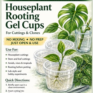 Plant Rooting Tissue Culture Gel Cups – Pre-Sterilized Medium for Strong Root Development – Ready-to-Use Micropropagation Containers