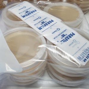 May include: A clear plastic bag containing stacks of clear, round petri dishes. A white and blue Parafilm laboratory film package is visible on top of the dishes. The text "PARAFILM 'M' LABORATORY FILM" is printed on the package.