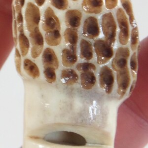 Morel Mushroom Neckless / Whistle Hand Carved Signed by the Artist