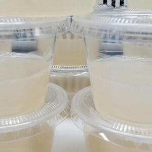 philodendron Plant Media Culturing Gel Cups Pre-Sterilized Ready To Use Product.