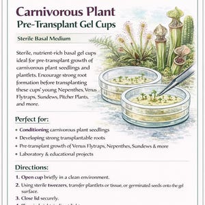 Carnivorous Plant Pre-Transplant Gel Cups – Sterile Basal Medium