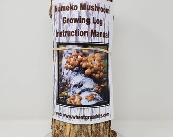 13 inch Nameko Mushroom Growing Log Pre-Inoculated