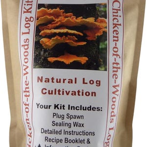 Chicken of the Woods Mushroom Log Growing Kit: Laetiporus sulphureus Plug Spawn