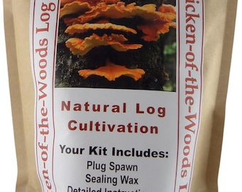 Chicken of the Woods Mushroom Log Growing Kit: Laetiporus sulphureus Plug Spawn