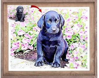 May include: A black Labrador Retriever puppy sitting in a bed of pink flowers. The puppy is looking directly at the camera.