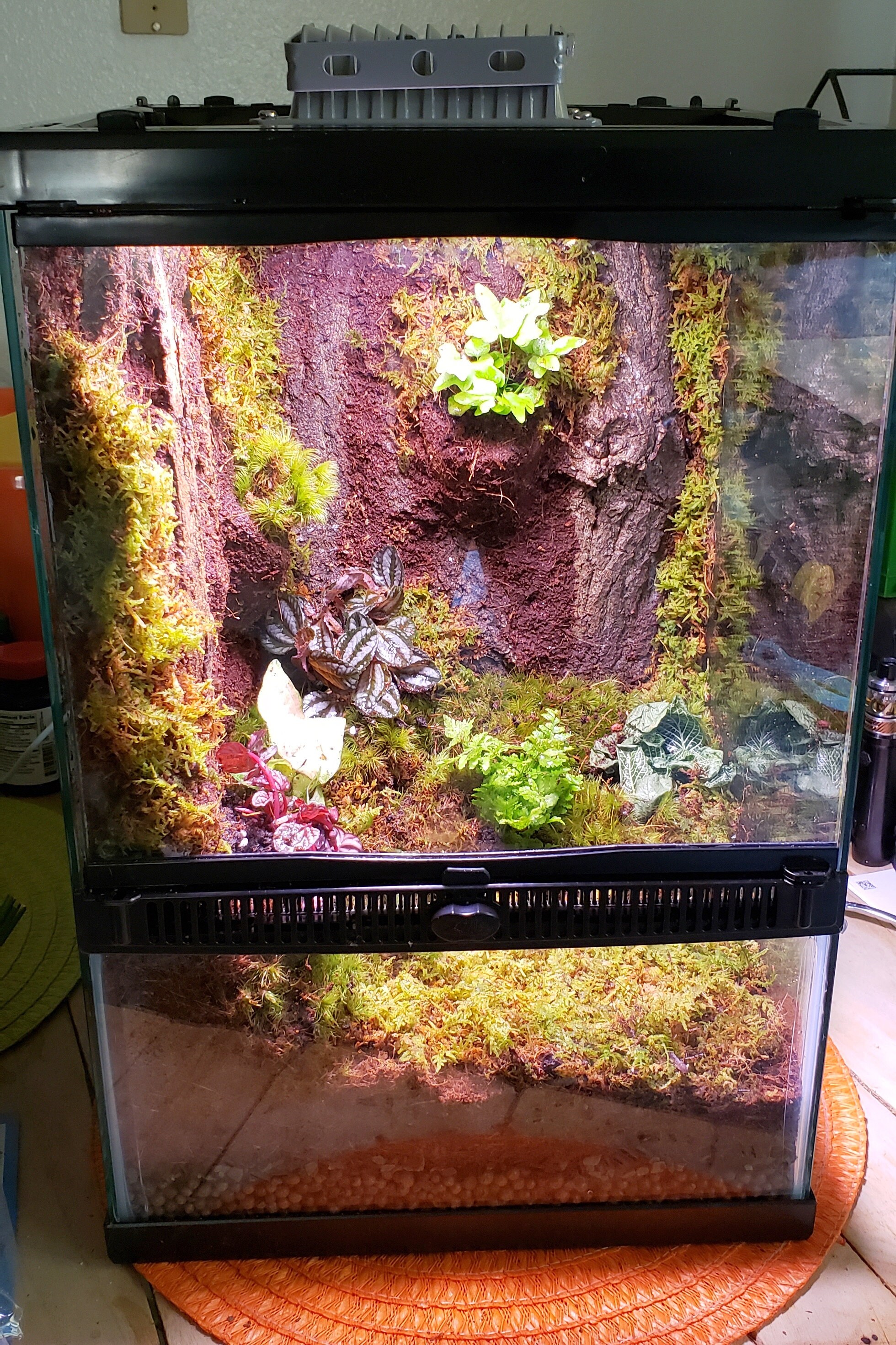 Zilla tropical vertical best sale kit