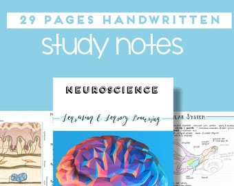 Resumo da Neurociência - Sensação e Processamento Sensorial