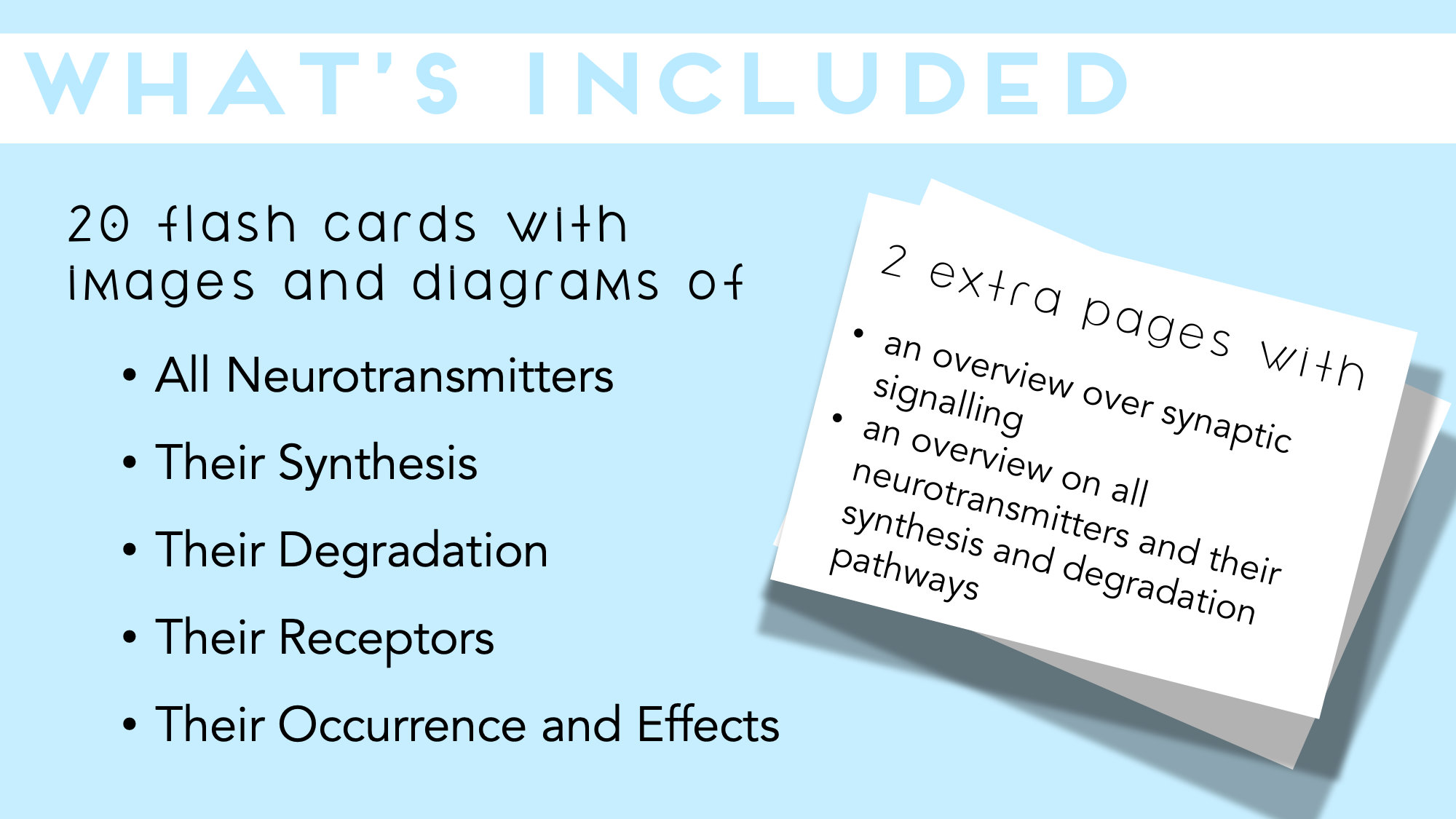 Neuroscience Flash Cards Printable Etsy
