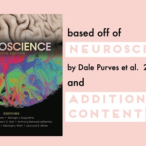 Pode incluir: Capa do livro "Neuroci&ecirc;ncia, Sexta Edi&ccedil;&atilde;o" de Dale Purves et al. 2018. A capa apresenta uma imagem abstrata e colorida de um c&eacute;rebro.