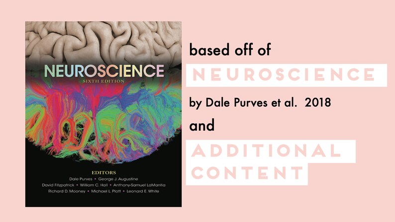 Pode incluir: Capa do livro "Neuroci&ecirc;ncia, Sexta Edi&ccedil;&atilde;o" de Dale Purves et al. 2018. A capa apresenta uma imagem abstrata e colorida de um c&eacute;rebro.