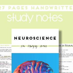 Puede incluir: Un conjunto de 27 notas de estudio escritas a mano sobre neurociencia, con una ilustración colorida de un cerebro en la portada. Las notas se titulan "El cerebro cambiante" e incluyen secciones sobre la base molecular de la inducción neuronal y la organización de los circuitos neuronales.