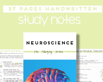 May include: A set of 27 handwritten study notes on neuroscience, featuring a colorful illustration of a brain on the cover. The notes are titled "The Changing Brain" and include sections on the molecular basis of neural induction and the organization of neural circuits.