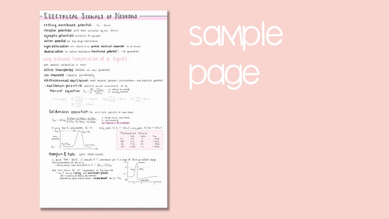 Pode incluir: Notas escritas &agrave; m&atilde;o numa p&aacute;gina quadriculada sobre sinais el&eacute;tricos de neur&ocirc;nios. As notas incluem t&iacute;tulos como "Testar o potencial da membrana", "Potencial de a&ccedil;&atilde;o", "Transmiss&atilde;o de longo alcance de um sinal", "Equa&ccedil;&atilde;o de Goldman" e "Hodgkin & Katz".