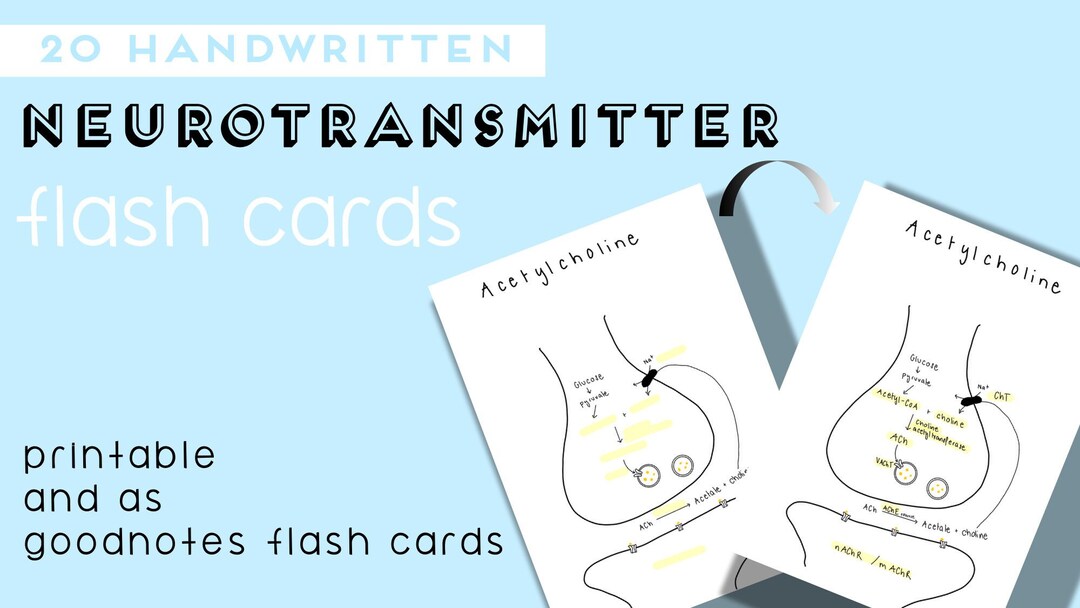 Neuroscience Flash Cards Printable Etsy