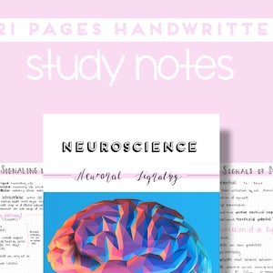 Pode incluir: Uma ilustra&ccedil;&atilde;o geom&eacute;trica colorida de um c&eacute;rebro com o texto "NEUROSCIENCE" e "Neural Signaling" acima. A imagem faz parte de um conjunto de 21 notas de estudo escritas &agrave; m&atilde;o.