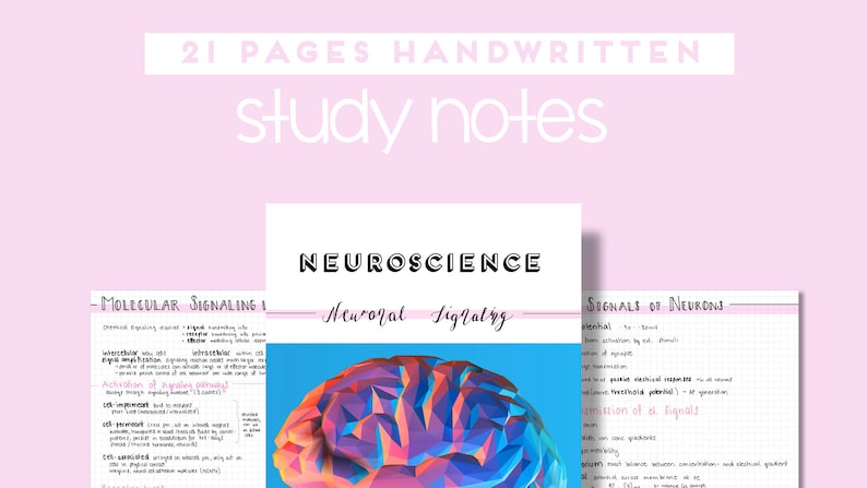 Pode incluir: Uma ilustra&ccedil;&atilde;o geom&eacute;trica colorida de um c&eacute;rebro com o texto "NEUROSCIENCE" e "Neural Signaling" acima. A imagem faz parte de um conjunto de 21 notas de estudo escritas &agrave; m&atilde;o.