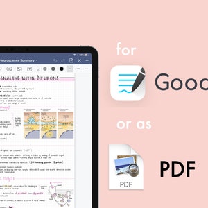 Pode incluir: Uma captura de tela de um iPad exibindo um aplicativo de caderno digital com o t&iacute;tulo "Neuroscience Summary" e o cabe&ccedil;alho "Molecular Signaling Within Neurons". O aplicativo est&aacute; aberto em uma p&aacute;gina com notas escritas &agrave; m&atilde;o e diagramas sobre o sistema nervoso. A imagem &eacute; exibida em um fundo rosa com texto que diz "para GoodNotes ou como PDF".