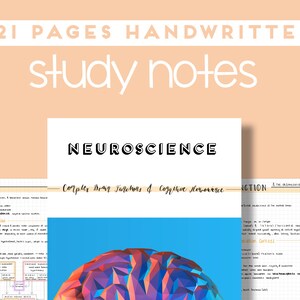 Può includere: Un'illustrazione geometrica colorata di un cervello con il testo "NEUROSCIENCE" sopra. L'immagine fa parte di un set di 21 appunti di studio scritti a mano.