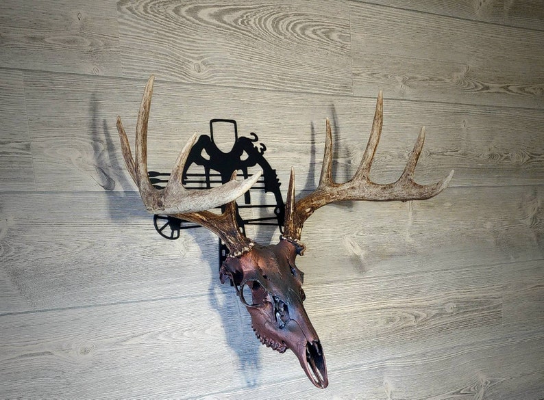 European Skull Mount Hanger Etsy