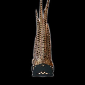 May include: A cluster of brown and black pheasant feathers mounted on a black base with a gold trim.