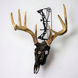 European skull mount hanger/plaque