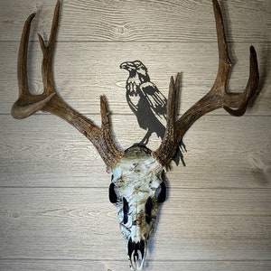 European skull mount hanger/plaque