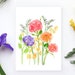see more listings in the Cartes | Blanc section