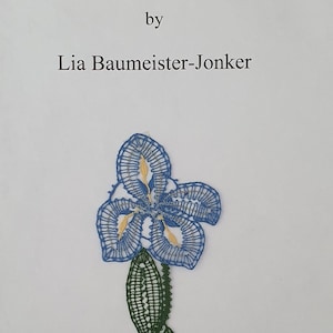 Schneeberger Lace Techniken Anleitungsbuch