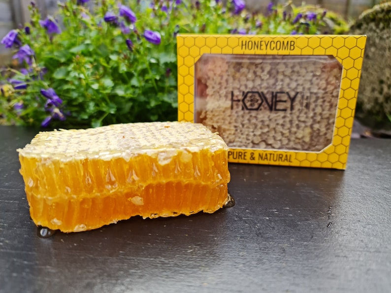 Small Box of Honeycomb 250-300 grams Organic Honey image 1