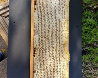 Full Frame of Honeycomb 2.000-2300grams , Organic Honey 2023 Harvest