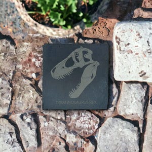 T-Rex Skull Drink Coasters: Fossil Engraved Leatherette, Slate, or Cork