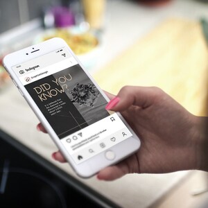 Jewelry Instagram Business Post, Fashion Accessories Template, Jewelry Collection Marketing Banner, Trendy Necklace Story, Editable Canva, Jewellery Banner, Kit, Accessories Seller Branding, Online Ring Shop, Bracelet IG Post, Facebook Banner, Engagement Booster, Green and Beige, Influencer Banner, Earring Branding Bundle, DIY Digital Flyer, Small Business, Premade Template, Instant Download.