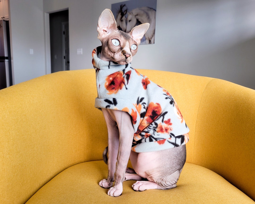 Sphynx Cat Sweater Teal Spring Easyon Cat Clothes Etsy