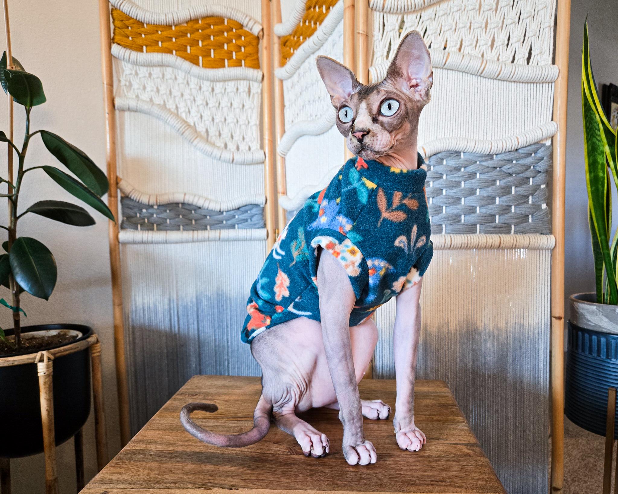Sphynx Cat Short Sleeve Tunic Sweater- Forest Friends Tunic Shirt Cat Clothes L