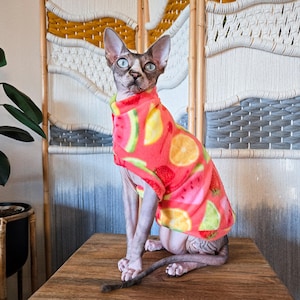 Sphynx Cat Sweater - Fruity Easy-On Cat Clothes S