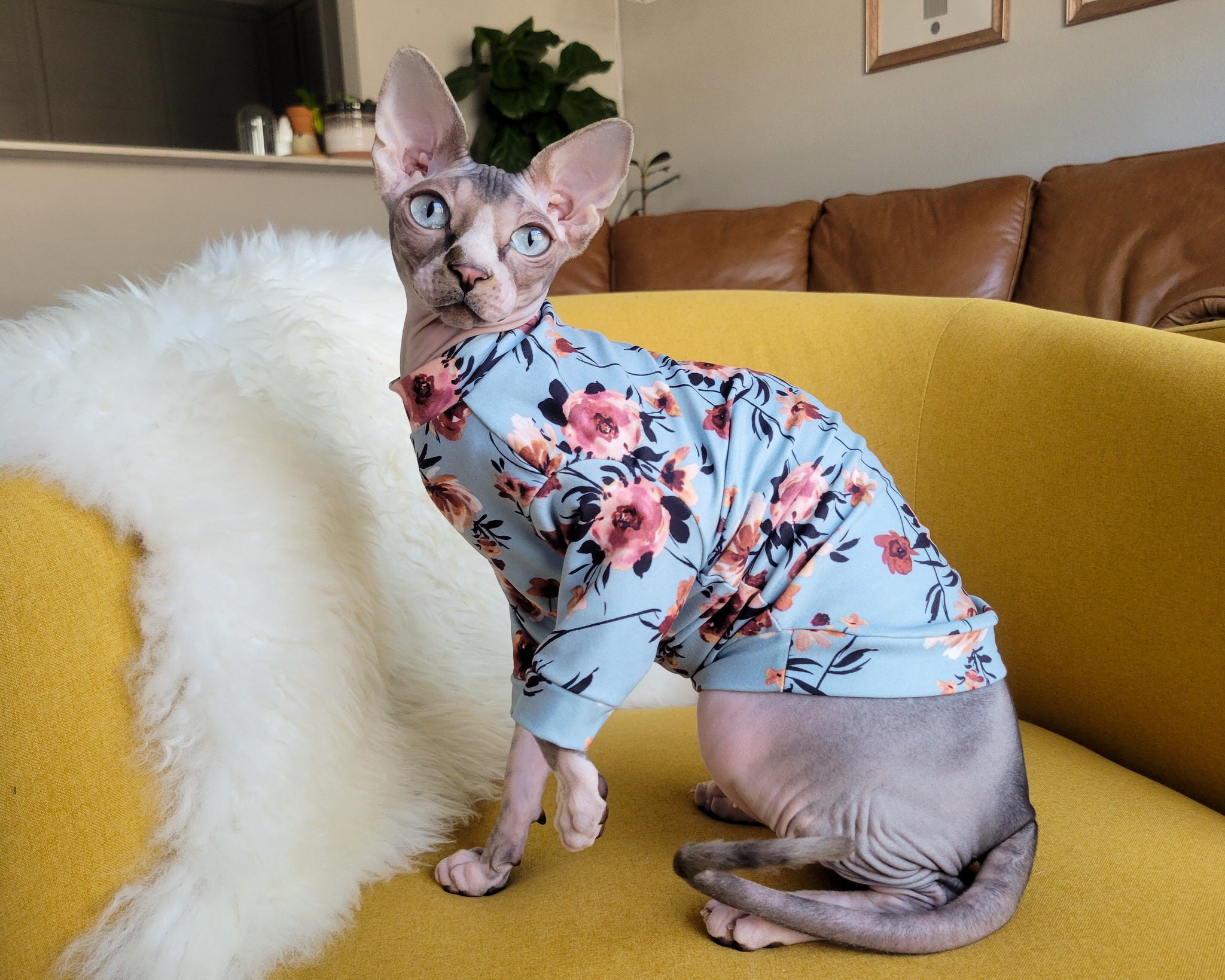 Lily Blue Cat Shirt - For Hairless Sphynx Cats