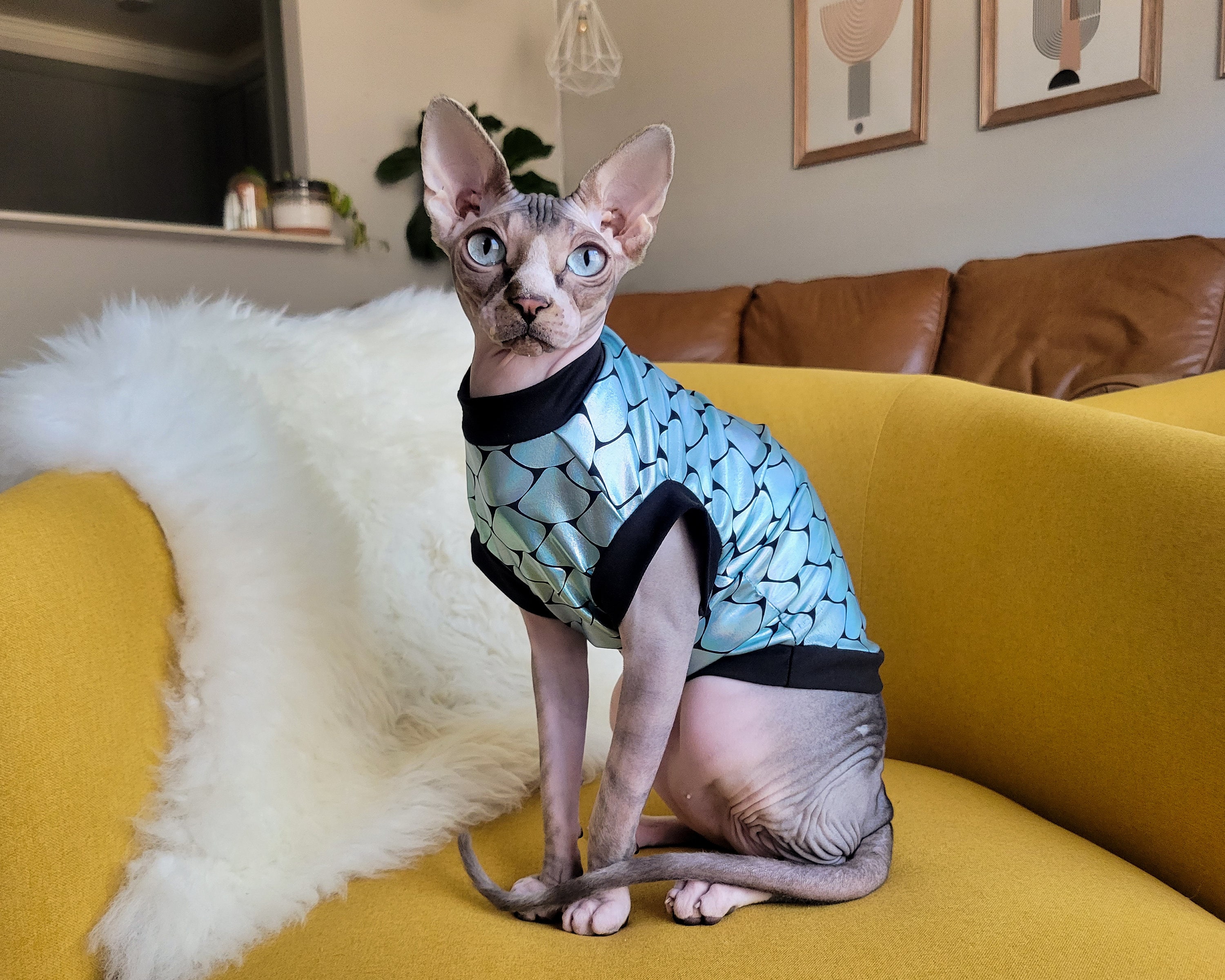 Designer sphynx clothes hotsell