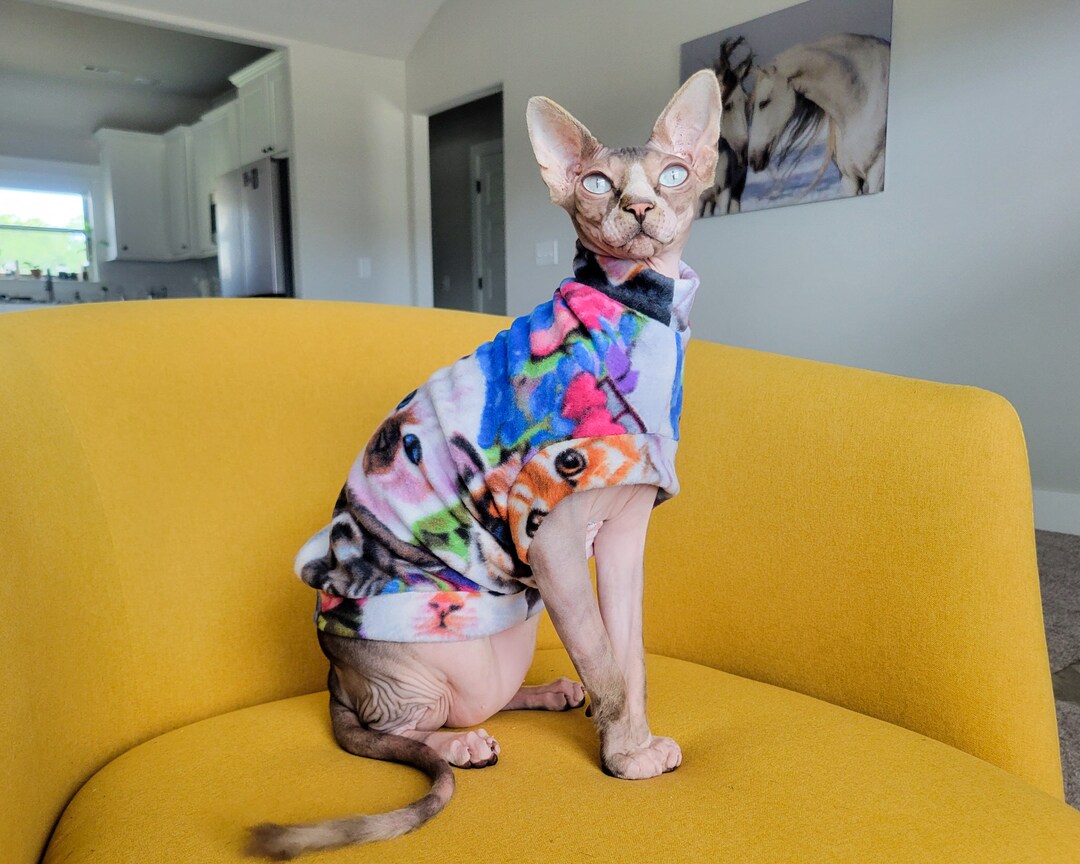 Sphynx Cat Sweater Cat on Cats Easyon Cat Clothes Etsy