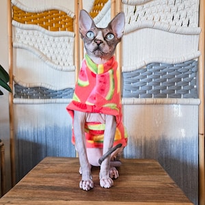 Sphynx Cat Sweater - Fruity Easy-On Cat Clothes M