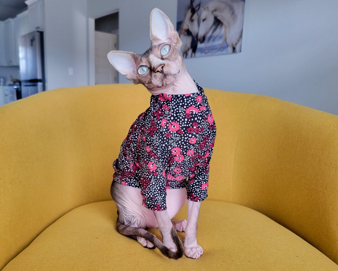Sphynx Cat Shirt Pink Flower Polkadot Cat Clothes Etsy