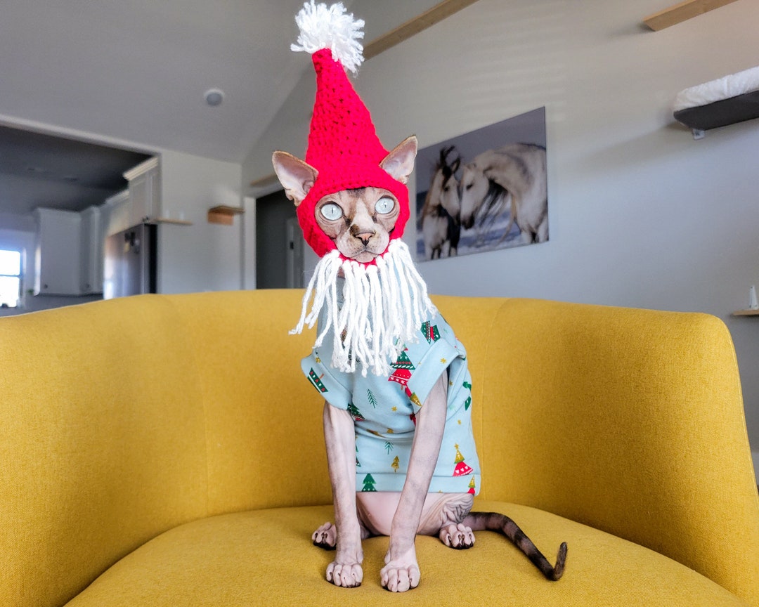 Sphynx Cat Shirt Christmas Cat Clothes Etsy
